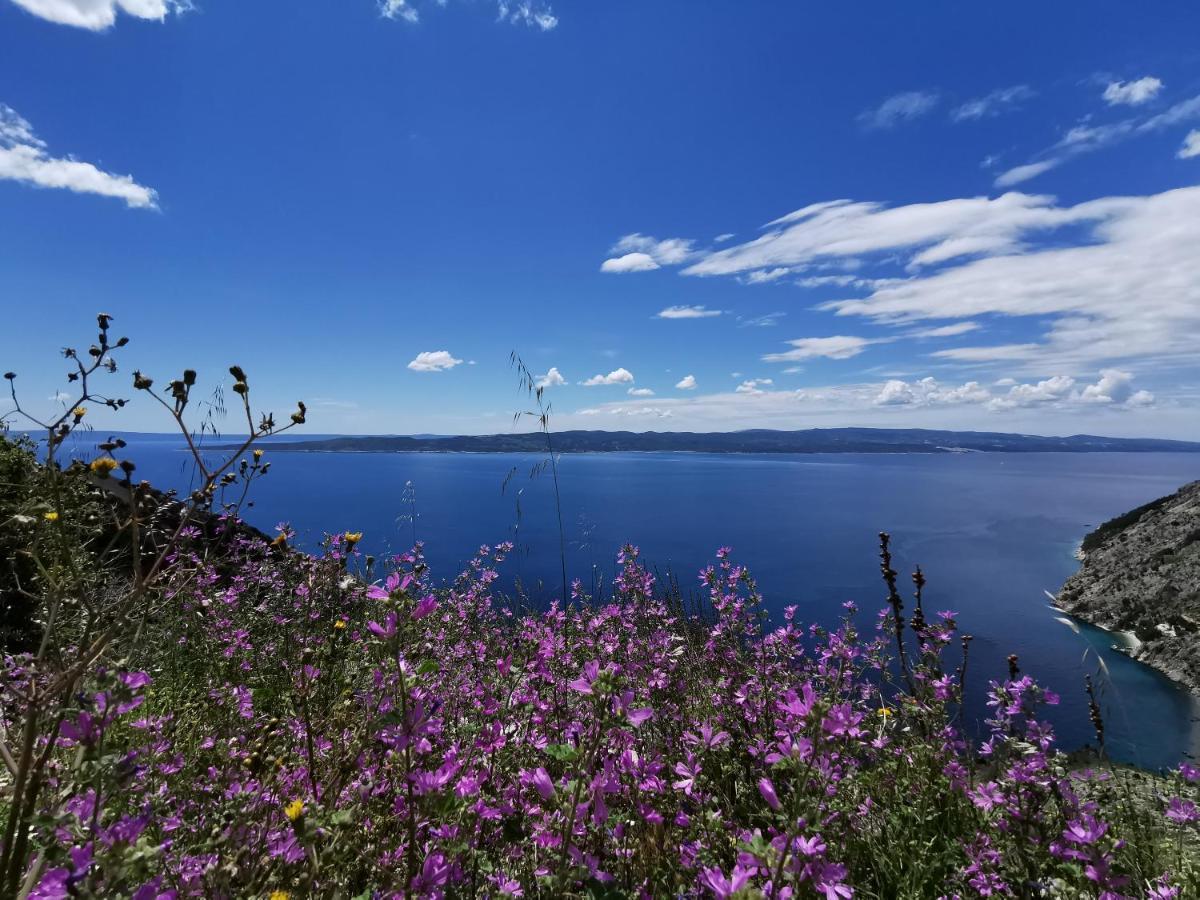Apartments Deak Makarska Eksteriør bilde